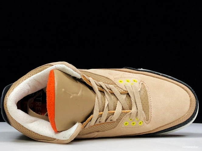 Reps LUCY 3 JTH AV6683-200 Jordan Bio Beige Air 0822